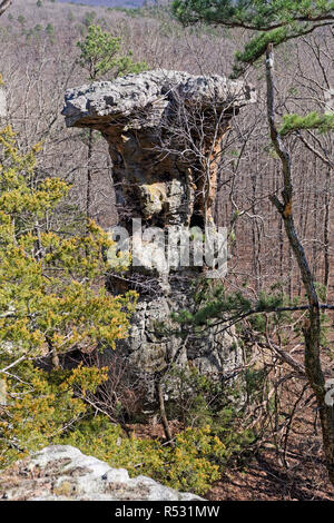 Pedestal Rock in the Forest Stock Photo