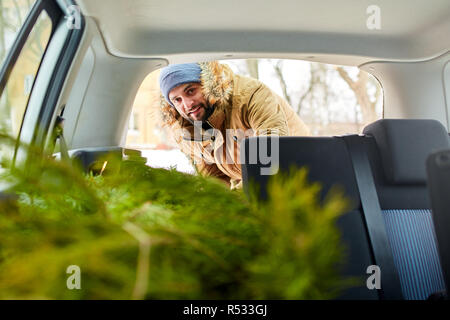 Bearded man unloading christmas tree out of trunk of his car, inside view. Hipster gets fir tree from the back of his hatchback. Convertible auto interior with practical folding seats for boot space. Stock Photo