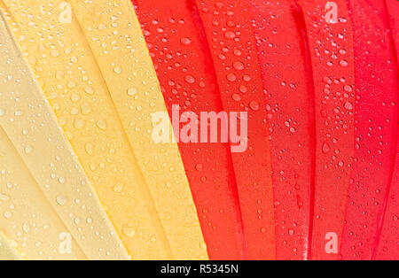 colorful umbrella with red color and shades, on the surface of which there are many drops of water, close-up Stock Photo