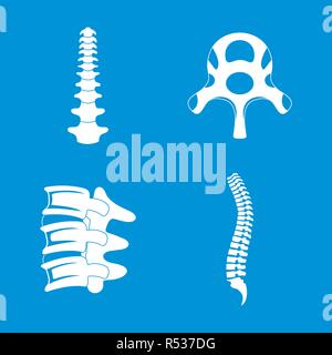 Spine orthopedic vertebra icons set. Simple illustration of 4 spine orthopedic vertebra vector icons for web Stock Vector