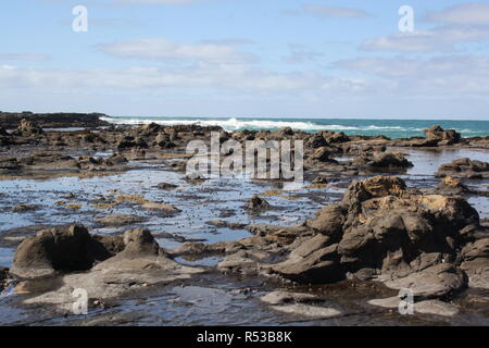 petrified forest in curio bay new zealand Stock Photo