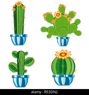 Cactuses in pot Stock Photo