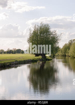 a riverside open scene outside in the country in essex england uk with no people and o boats, very lush and pretty on a late summer's afternoon Stock Photo