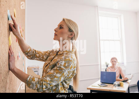 Female Leader Teaching New Employee Stock Photo