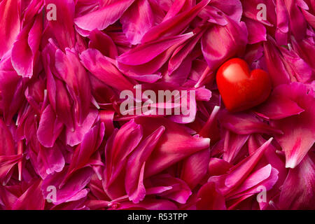 Heart on peony petals background. Stock Photo