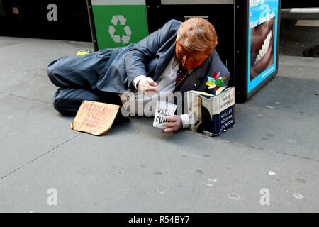 New York City, New York, USA. 29th Nov, 2018. Seen on Wall Street, the heart of American capitalism, was an American patriot doing his part in funding Donald Trump's southern border wall on 29 November 2018. Credit: G. Ronald Lopez/ZUMA Wire/Alamy Live News Stock Photo