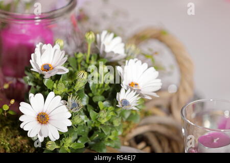 table decoration to festivities Stock Photo