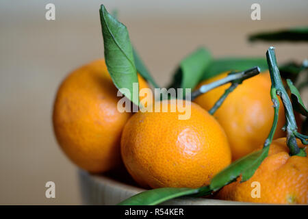 Ripe tangerines with leaves on a wooden background Stock Photo