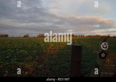 The Macmillan Way. Long-distance trail. England. UK Stock Photo