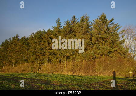 The Macmillan Way. Long-distance trail. England. UK Stock Photo