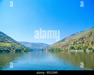 Vineyards of the Douro Valley in Pinhao, Portugal Stock Photo