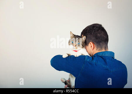 Rear view of young man wearing jeans jacket hugging a cute and curious cat blue eyes looking to camera. Love and pet care isolated over grey wall back Stock Photo