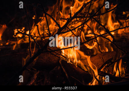 Close up of a fire with twigs Stock Photo