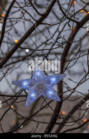 an illuminated star christmas decoration in a tree decorated for the christmas season. Stock Photo
