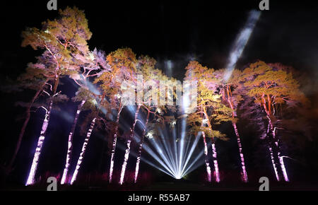 Trees are illuminated during the launch of the Enchanted Christmas attraction at Westonbirt Arboretum near Tetbury. Stock Photo