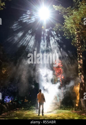 A person admires the illuminations during the launch of the Enchanted Christmas attraction at Westonbirt Arboretum near Tetbury. Stock Photo