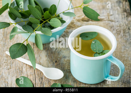 Eucalyptus tea. Stock Photo