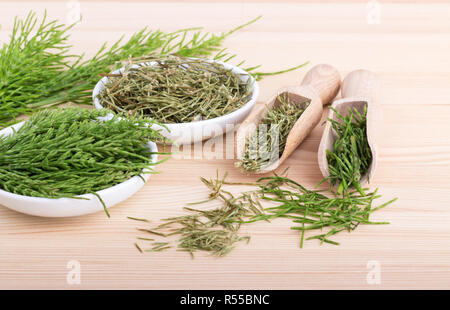 Fresh and dried field horsetail Stock Photo