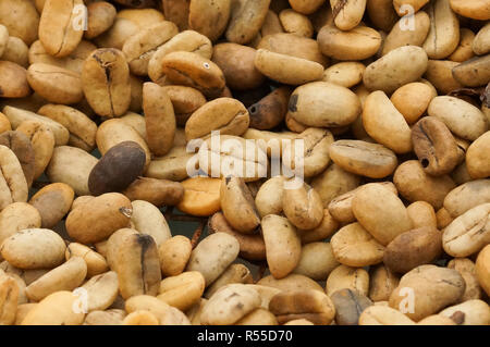 drying of cocoa and coffee beans,plantation on sao tome and principe,africa Stock Photo