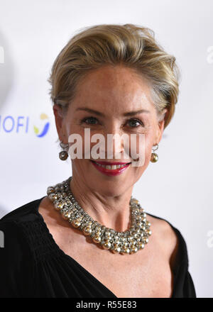 Sharon Stone attends the Drugs For Neglected Diseases Initiative's Inaugural Making Medical History Gala at The Bowery Hotel on October 24, 2018 in Ne Stock Photo