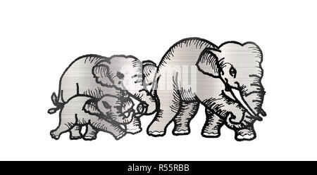 elephant animals mammal wild Stock Photo