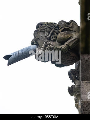 A gargoyle with modern drain pipe emerging from its mouth on the roof of Chichester Cathedral Stock Photo