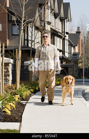 Blind man with a golden retriever Stock Photo