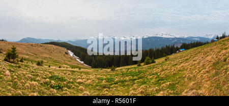 Early spring Carpathian mountains plateau landscape, Ukraine, Europe. Stock Photo