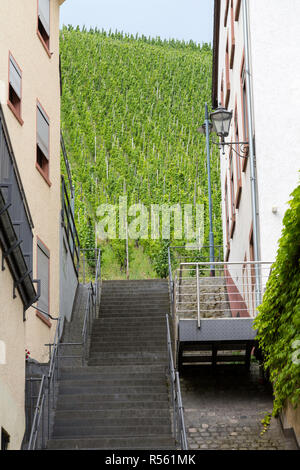 Bernkastel, Germany.  Vineyards on Steep Hillsides Come to the Edge of Town. Stock Photo