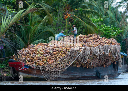 Two male labourers load a traditional wooden boat with coconuts alongside the tree lined bank on the Cai Rang River, Can Tho Province, South Vietnam Stock Photo