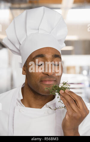 Chef savouring aroma of herbs Stock Photo