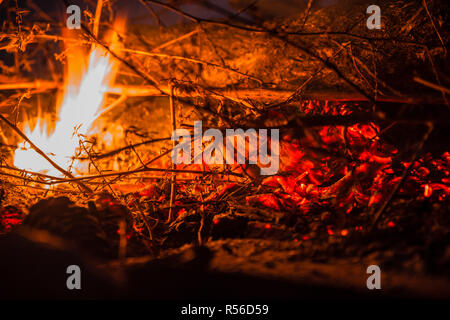 Close up of a fire with twigs Stock Photo