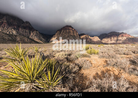 November storm clouds moving from the Spring Mountains into Red Rock Canyon National Conservation Area near Las Vegas, Nevada. Stock Photo