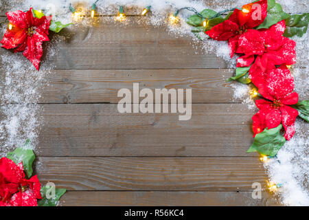 Snow Covered Christmas poinsettia flowers on wooden planks background with lights Stock Photo