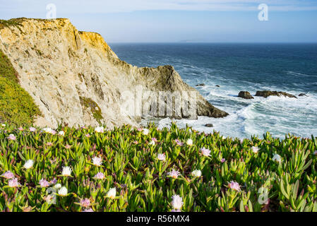 Cliffs along Point Reyes National Seashore Stock Photo