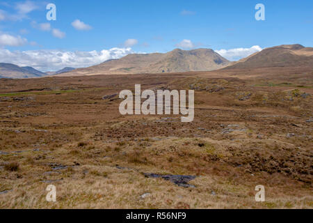 County Galway Ireland bog land and heather with mountains in Connemara on a sunny day with blue sky. Stock Photo