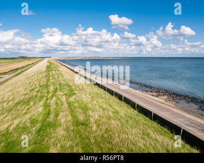 Dike with grass protecting polders on West Frisian island Texel against Wadden Sea, Netherlands Stock Photo
