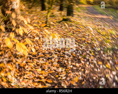 Autumn leaves in yellow and orange falling and fallen in rotating motion blur - purposely blurred Stock Photo