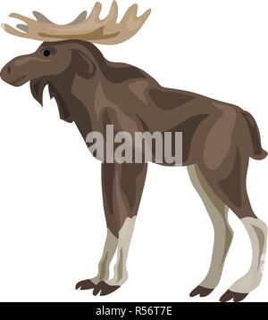Canadian deer icon. Cartoon of canadian deer vector icon for web design isolated on white background Stock Vector