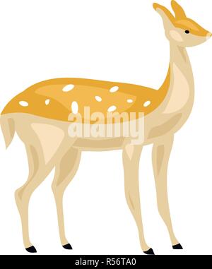Female deer icon. Cartoon of female deer vector icon for web design isolated on white background Stock Vector