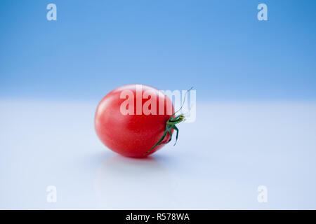 Juicy tomato on a light blue background, close-up Stock Photo