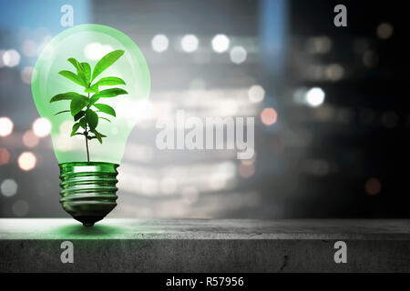 Green plant inside light bulb Stock Photo