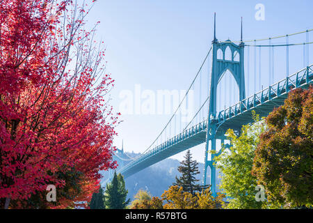 Autumn high quality in Cathedral Park (St. Johns Bridge)