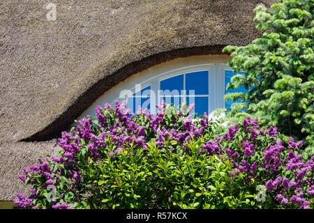 detail of a house on the fischland-darÃŸ Stock Photo