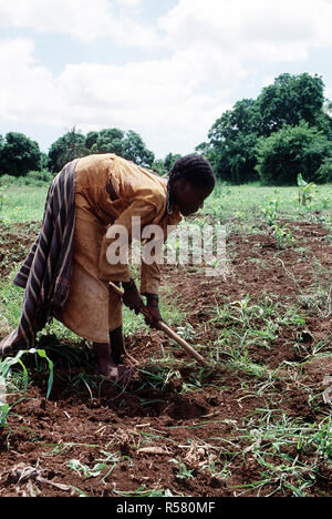 1993 - A Somali woman working in the fields in Kismayo, Somalia while U.S. Forces were in Somalia for Operation Continue Hope.