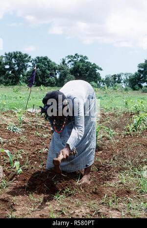 A Somali woman working in the fields in Kismayo, Somalia while U.S. Forces were in Somalia for Operation Continue Hope.