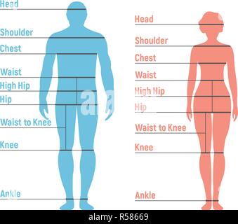 Silhouette Size Chart
