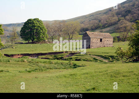 A old barn in the scenic Wharfe River Valley on the Dales Way hiking trail, near Starbotton, Yorkshire, Northern England, Great Britain.