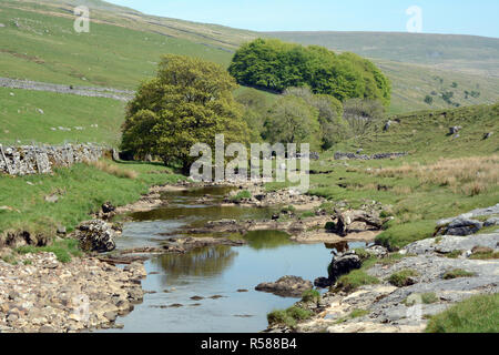 The banks of the river Wharfe, near Buckden, along the Dales Way hiking trail, Yorkshire, Northern England, United Kingdom. Stock Photo