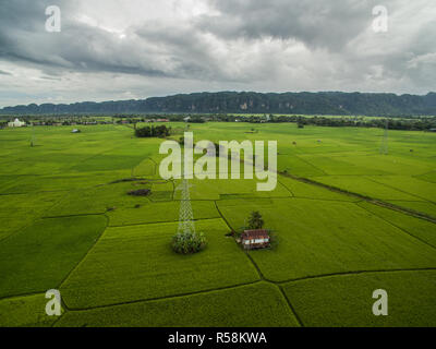 A small house in the middle of rice field beside high voltage electrical power line in Maros Makassar - Indonesia. Stock Photo